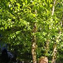 ���� Svetlana, �������, 66 ��� - ��������� 8 ��� 2024 � ������ ���� ����������