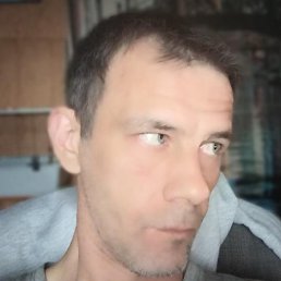 Serge, �����-���������, 43 ����