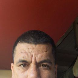 , 34, 