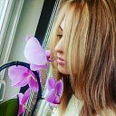 ���� �����, ������ - ��������� 4 ������� 2026 � ������ ���� ����������