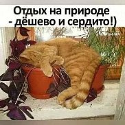 , 44 , 