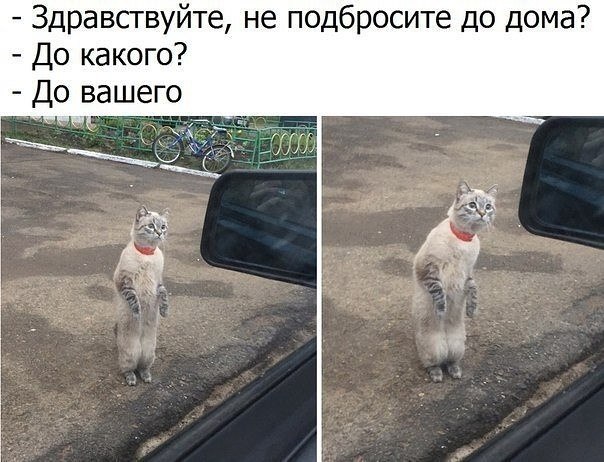 ☆   ☆ - 29  2023  12:09