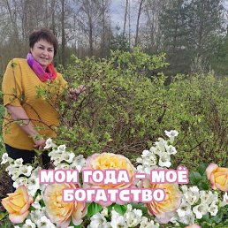 , 61, -