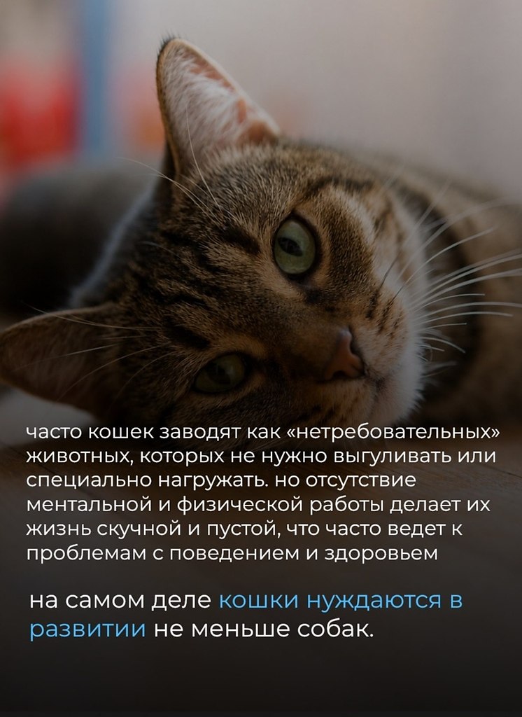 ���������� ����� ���������� ����� � ������������� �������� ����������. ������� ��������� ���� ... - 2