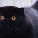 ���� ����, ������� ������, 30 ��� - ��������� 19 ������� 2024 � ������ ���� ����������