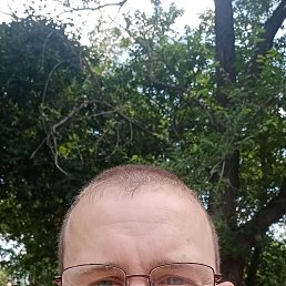 , 41, 
