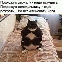   ( ),  -  14  2025   