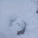 ���� �����, ������, 46 ��� - ��������� 17 ������� 2024 � ������ ���� ����������