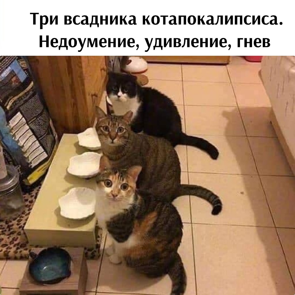       - 12  2024  16:06