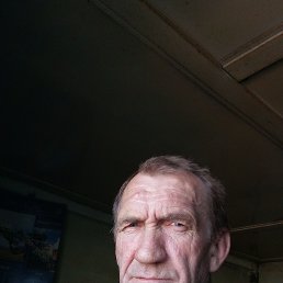 , 53, 