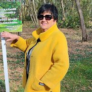 ����, 65 ���, �����������