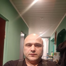 , 53, 