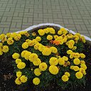 ���� ���������, ����� - ��������� 21 �������� 2025 � ������ ������ ������, �� ����������