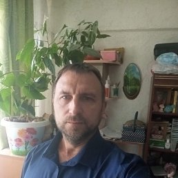 ����, 46 ���, ����