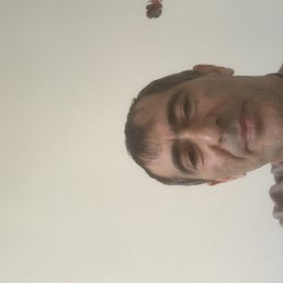 , 48, 