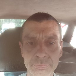 ���� ������, ������, 41 ��� - ��������� 14 ���� 2026