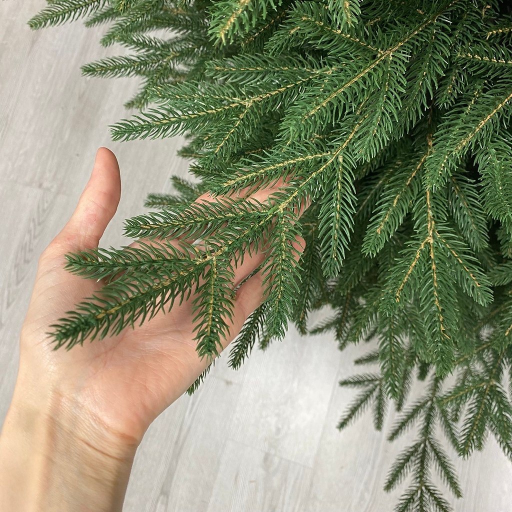 ����� ��� �� �������� ������� ���� ����� ������ ����! ������ �� ����������� ����� ��� ��������� ... - 3