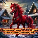 ���� ����, ���������, 35 ��� - ��������� 31 ������� 2025 � ������ ������ ��������