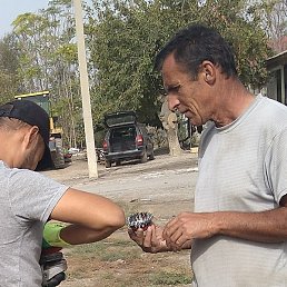 ����, �����-���������, 51 ���