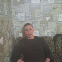 ����, 41 ���, ����