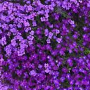 ���� ���������, ������, 64 ���� - ��������� 19 ������� 2024 � ������ ���� ����������