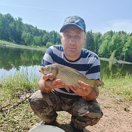 , 44 , -