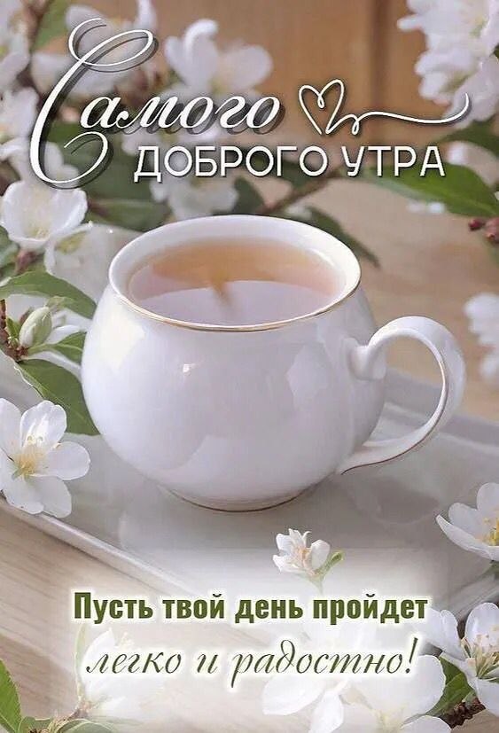 ***Victoria Viktorovna*** - 9  2025  08:47