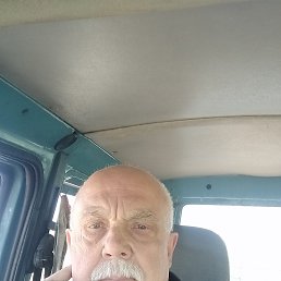 , 62 , 