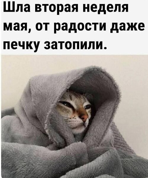   ! - 18  2025  18:03