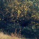  , -, 46  -  25  2025    