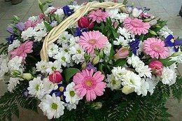 �����������