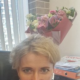 ���� ����, ������, 48 ��� - ��������� 15 ������ 2026