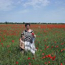 ���� �������, ���������, 67 ��� - ��������� 23 ���� 2024 � ������ ���� ����������