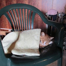 �������, ������, 60 ���