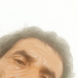  , , 46  -  6  2024