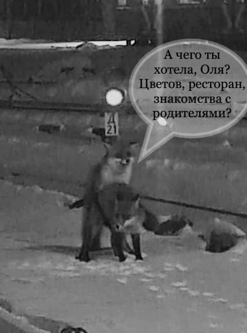   - 7  2025  19:40