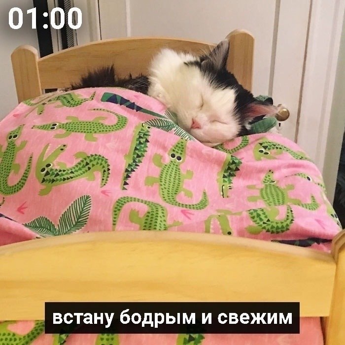 ������ ����� - 3