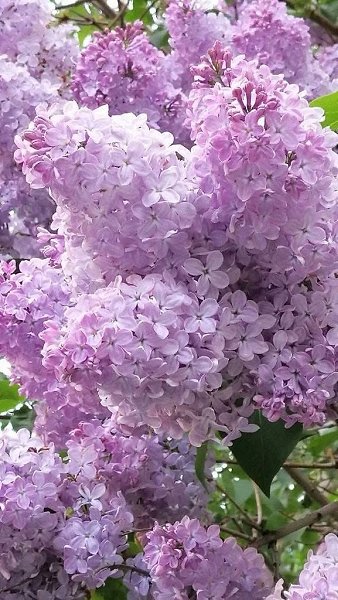 :) ��������� ���! - 4