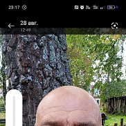 , 47 , 