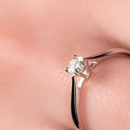 ����, ������-��-����, 21 ���