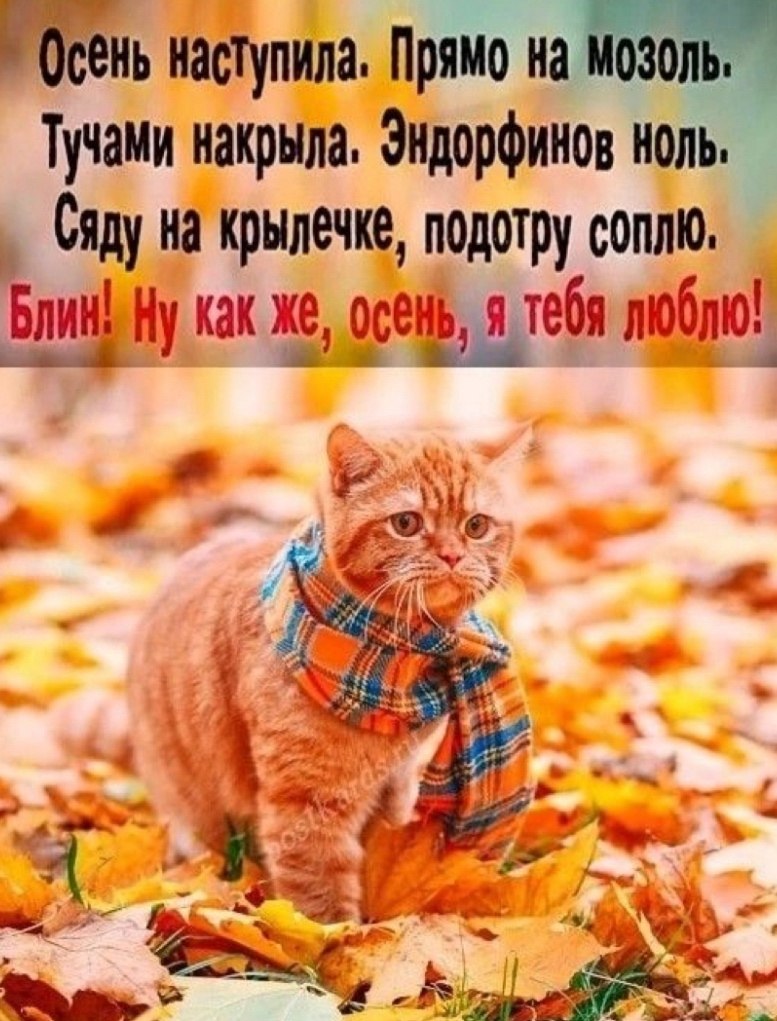   ,    . - 2  2025  23:39