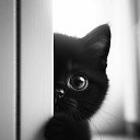 ���� ����, ������� �������� - ��������� 14 ������� 2025 � ������ ������ ��������