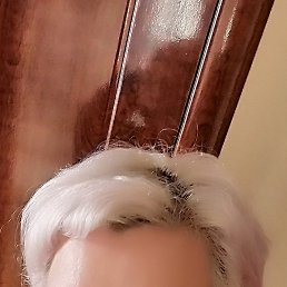 ���� ��������, ������, 92 ���� - ��������� 16 ������� 2024