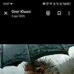 ���� �����, �������, 38 ��� - ��������� 3 ������ 2026