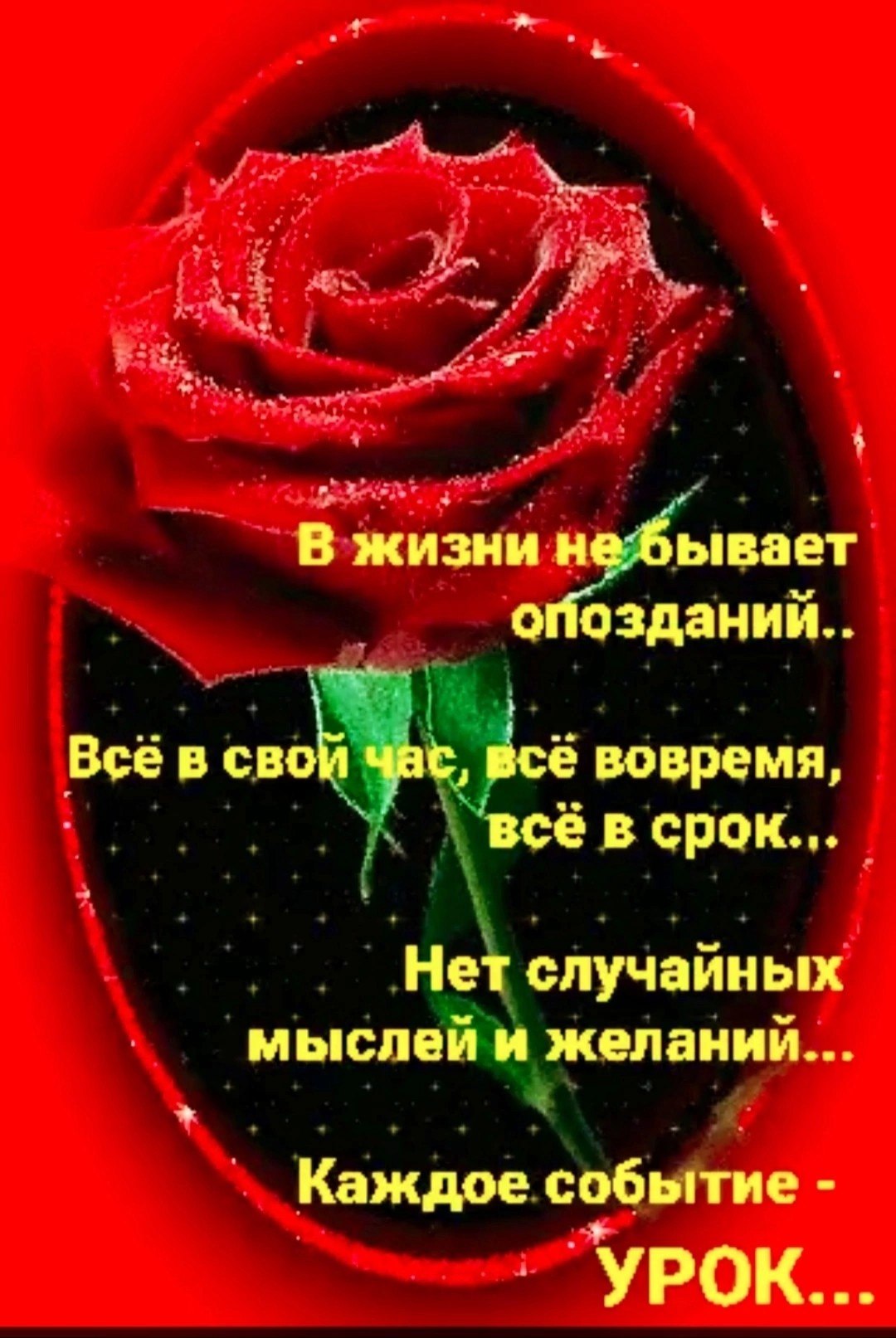 �������� ( �� �������� ��) - 21 ����� 2025 � 22:11