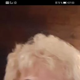 , 65, 