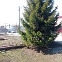 ���� �����, ���������, 42 ���� - ��������� 9 ������ 2025 � ������ ���� ����������