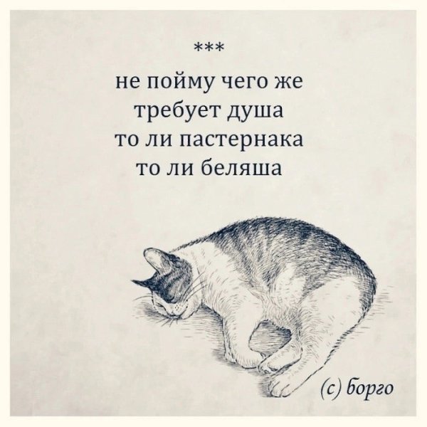  . - 6