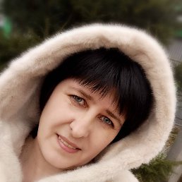 �������, ������ ��������, 48 ���