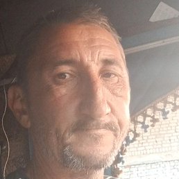 �����, ���, 48 ���